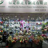 Baoding City Northern Flower Manufacturing Co., Ltd company overview - view 1 thumbnail