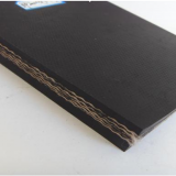 EP Conveyor Belt thumbnail-1