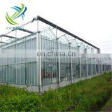 Kaixiang Venlo Glass Greenhouse for Tomato Growing