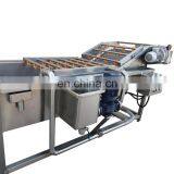 Good Quality Fruit and Vegetable Washing Machine/strawberry Washing Machine thumbnail-4