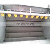 Supermarket Use Electric Kiwi Fruit Washing Machine/Carrot Washer/Carrot Cleaning Machine thumbnail-3