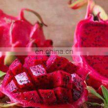 HOT SELLING TROPICAL FRUIT FRESH DRAGON/PITAYA FRUIT FROM VIET NAM thumbnail-2