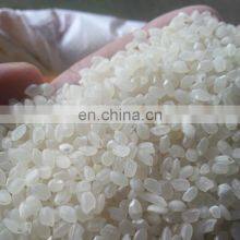 Vietnam Japonica Rice 100% Natural (5% Broken)