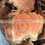 Sargentodoxa Cuneata thumbnail-2