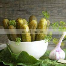 Automatische Maschine zum Waschen und Abfüllen von eingelegten Gurken und anderen eingelegten Gemüsesorten aus Dosen thumbnail-2