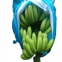 China Factory Direct Wholesale Blue Perforated Polyethylene Plastic Banana Protection Bag Banana Bunch Cover