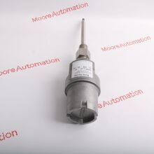 BENTLY NEVADA 21000-34-10-20-062-04-02