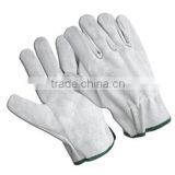 Drivers Gloves / Working Gloves / Goat Grain Leather Gloves thumbnail-1