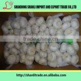 Fresh Jin Xiang Brand Pure White Garlic Powder/fresh Garlic/chinese Garlic Price thumbnail-4