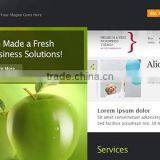 Web Designing and Hosting Services