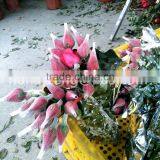 Packing Grade Plastic Rose Bud flexible PE protective Sleeves Net