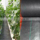 Anti-UV PP Woven Agricultural Weed Mat thumbnail-1