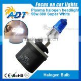 Best Price Auto Plasma Halogen Bulb, H1 H3 H4 H7 H8 H9 H10 H11 H12 H13 880 7500K bulbs