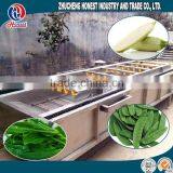 New Designed Fruit and Vegetable Processing Machines thumbnail-5