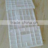 Plastic Fold Egg Storage Container thumbnail-6