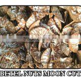 Areca catechu [Moon Cut]