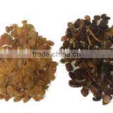 5000+pixel Multifunctional Iranian Raisin Processing Machine/snack Sorting Machine thumbnail-4