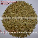Barlet Feed Malt Grade