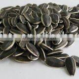 Chinese Delicious Taste Sunflower Seeds