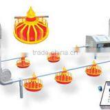Best Poultry Breeder Chain Feeding System