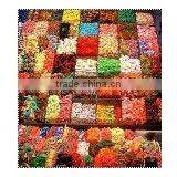 Output 150/300/450/600kg/hr Hard Candy Production Line thumbnail-1