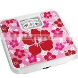125kg Bathroom Weight Scale Household Mechanical Type