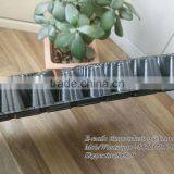 128 Cell Black PS Plastic Horticulture Plant Nursery Seed Starting Tray Manufactory Price thumbnail-6