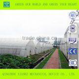 Large Venlo Film Greenhouse for Seeding thumbnail-4