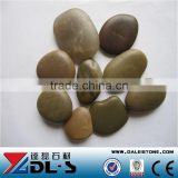 Natural Mixed color flat pebble stone