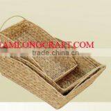 WATER HYACINTH BASKET/ TRAY TCC-BK18