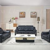 Modern Grey Leather Sofa with living room sofa