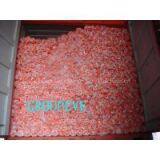 HDPE Safety Fence thumbnail-3