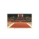 Free Gymnastics Field,gymnastics Mat,gymnastics Fields thumbnail-1