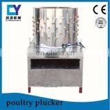 TM-50 Best Price Chicken Abattoir South Africa Mobile Chicken Abattoir Chicken Slaughtering Machine in Germany thumbnail-7