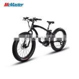 BEBFR26C 26 Inch Fat Tire Mountain Wheel Electric Ebike Dirt Bike thumbnail-3