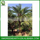 Sedex Audited Factory Fabric Covered Shank Button thumbnail-4