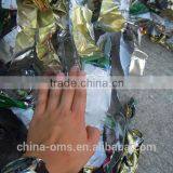 D1200 Two Shaft Shredder - Solid Waste Shredder thumbnail-5