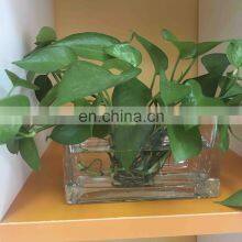 Fashionable New Long Glass Flower Vase thumbnail-4