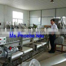 SS Round Shape Fruit Grading Machine,apple Sorter Orange Sorting Machine thumbnail-3