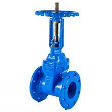 Resilient Seated Gate Valve für kommunale Wasseraufbereitungsanlagen mit MTR thumbnail-1