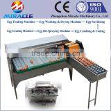 New Design Egg Grading Machine, Automatic Controller Eggs Grader Sorting Machine For Sale