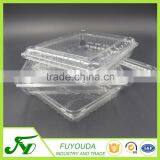 Fashion Design Clear Takeaway Plastic Fruit Container thumbnail-5