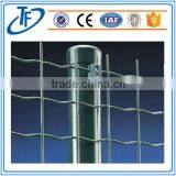 High Strengh Pvc Coated Holland Welded Wire Mesh thumbnail-4