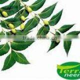 Neem Seed Oil in Expoxy Coated Steel Drums thumbnail-5