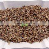 Organic Golden Tips Tea Leaves thumbnail-2