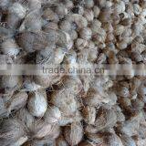 Good Quality Fully Husked Dry Coconut for Sell thumbnail-2