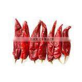 Dried Chilli - Very Competitive Price _ QQ : 2598494113