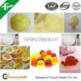 High Quality Factory Supply Gelatin thumbnail-3