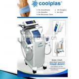 Vertical Plant Artificial Walls Plastic Green Wall Garden for Sale thumbnail-4