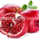 Fresh fruit export for greece